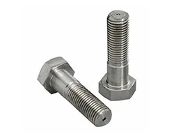 SS 304 Stove Nuts SS 304 Stove Nuts